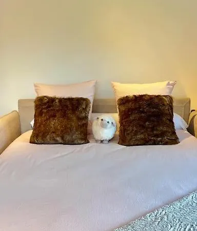 Le Loft D'etigny Daire